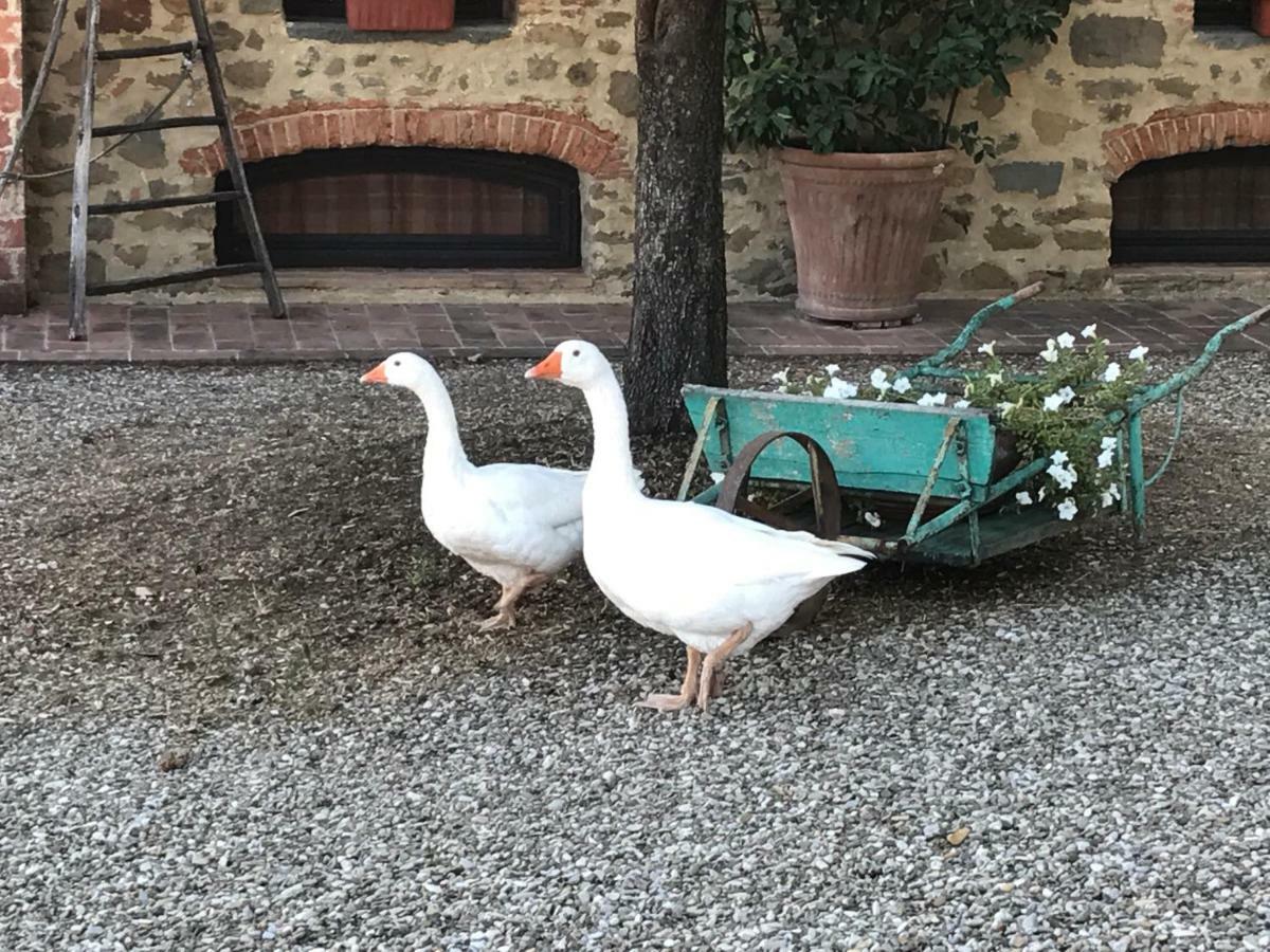 Podere La Fausta Serravalle Pistoiese Экстерьер фото